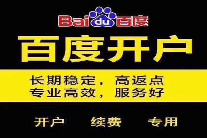 SEM服务公司成功案例解读